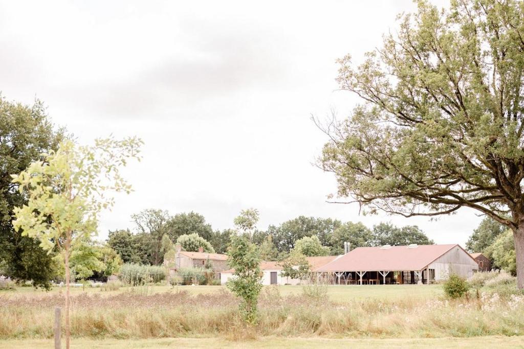 Domaine De L'Oiseliere Hotel Chauche Bagian luar foto