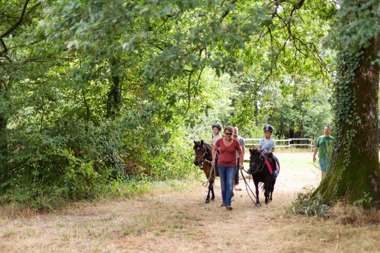 Domaine De L'Oiseliere Hotel Chauche Bagian luar foto
